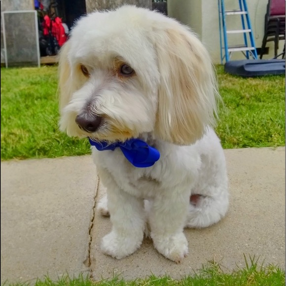 Meet your Posher, Karla - Picture 2 of 2